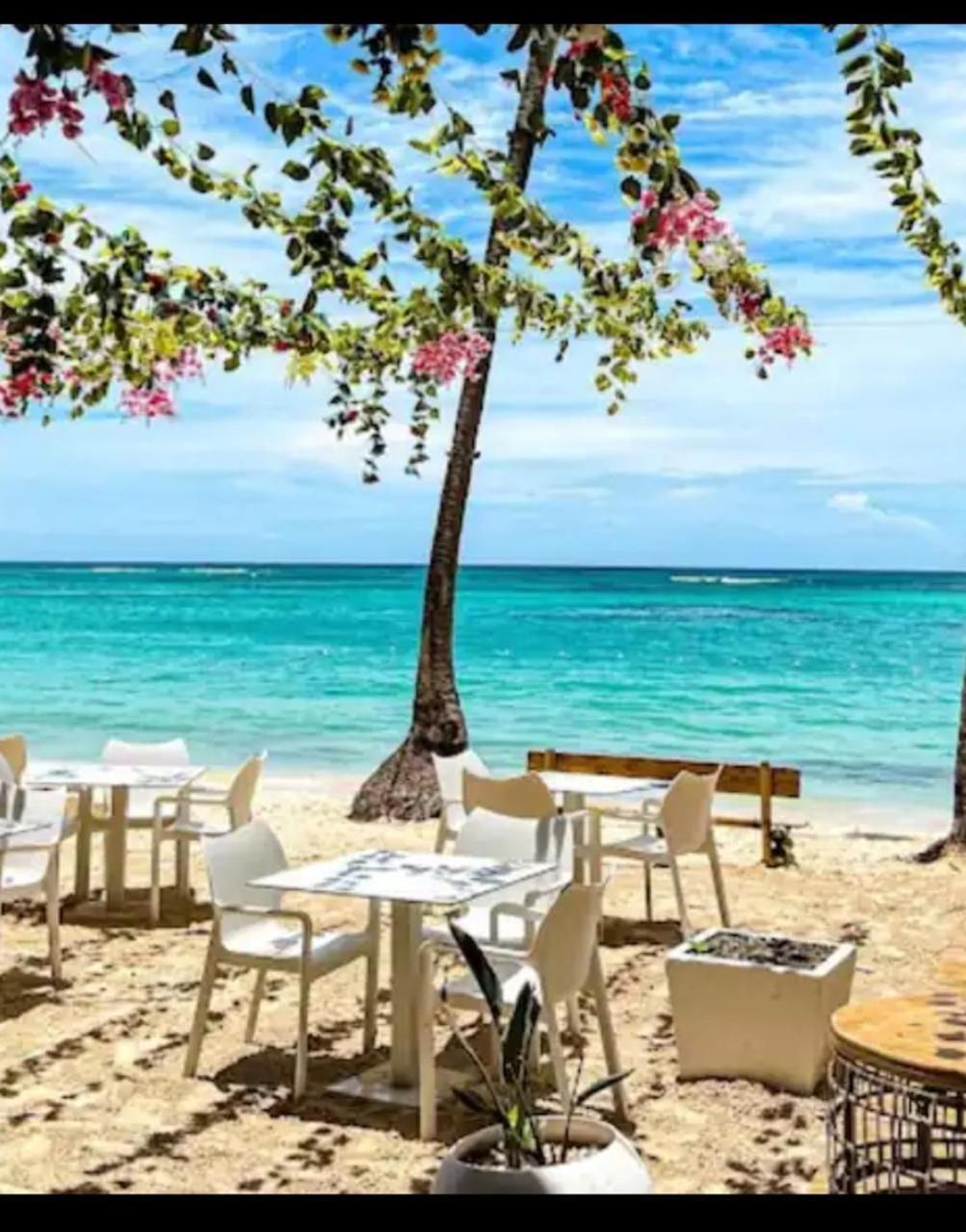 Madonna Pool Beach Los Corales 푼타 카나 외부 사진